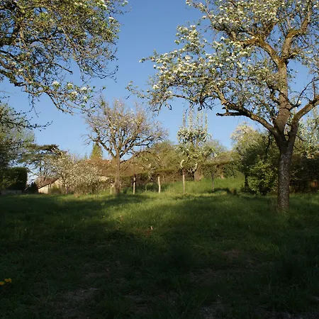 בית הארחה La Cler'hier 3*